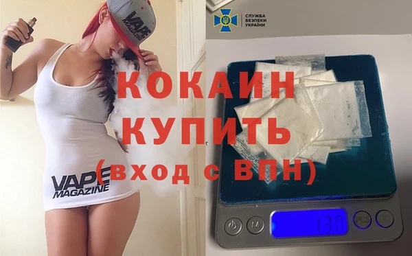 ALPHA PVP Няндома