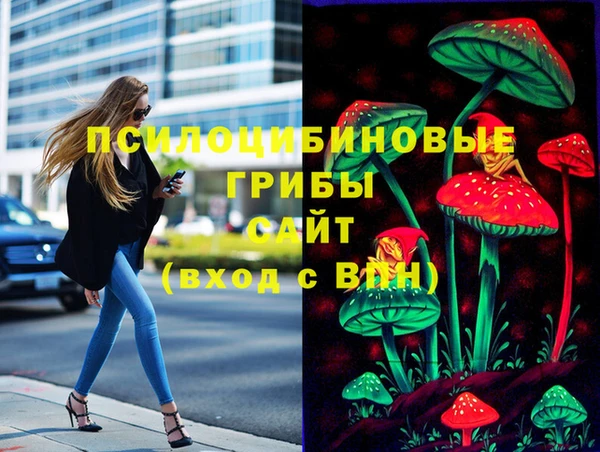 хмурый Нязепетровск