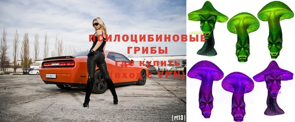 хмурый Нязепетровск