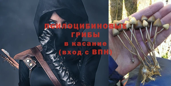 хмурый Нязепетровск