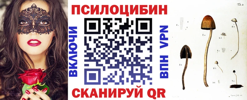 Галлюциногенные грибы ЛСД  магазин продажи   Починок 